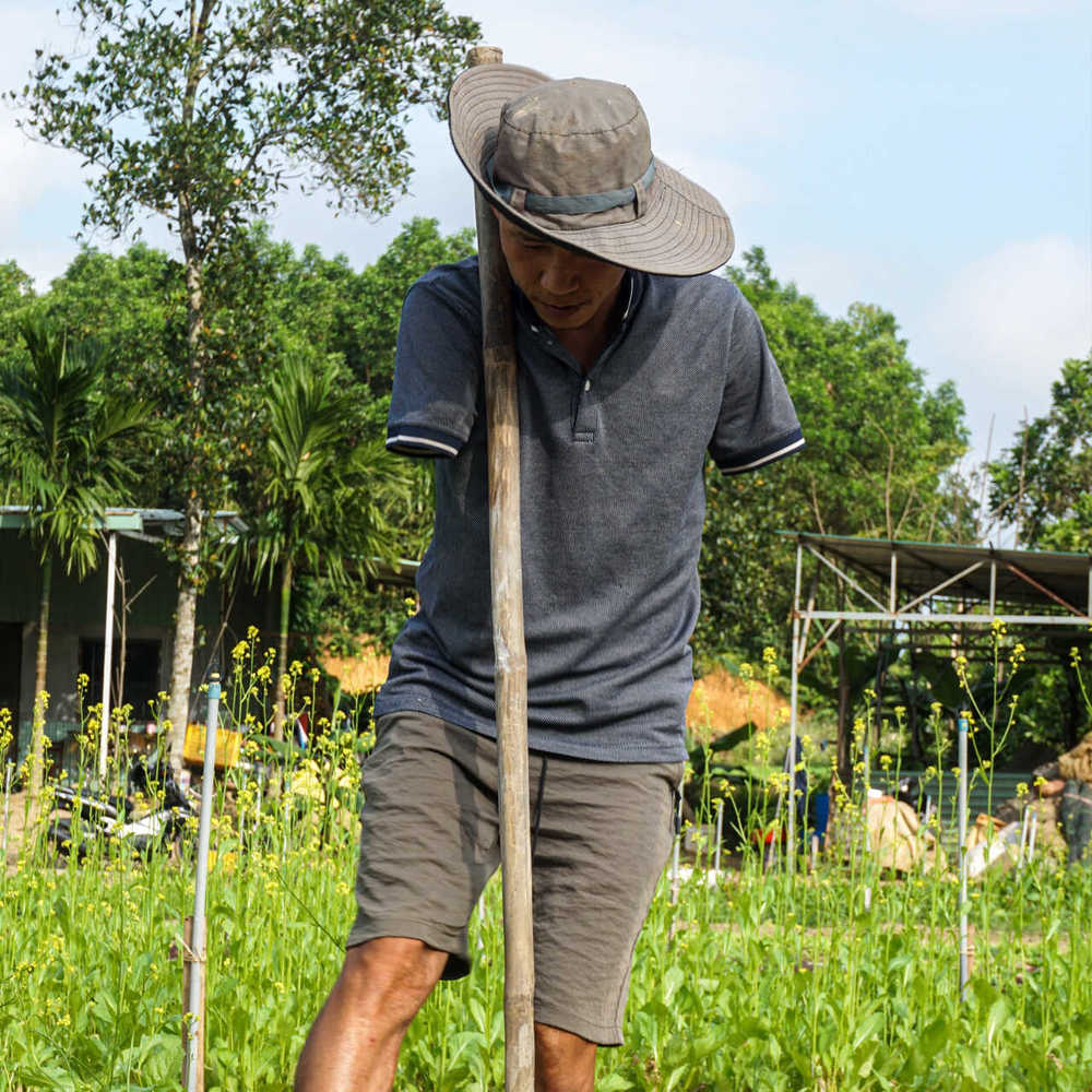 Anh Cường phụ vợ làm vườn