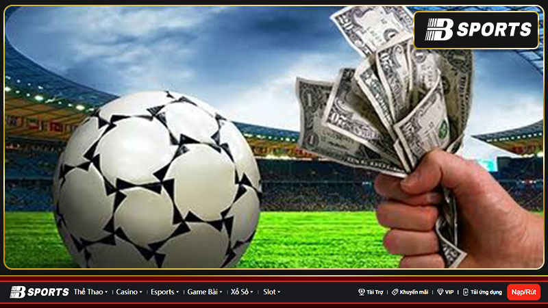 VNLOTO là nhà cái cá cược chuyên về các dịch vụ cá cược uy tín