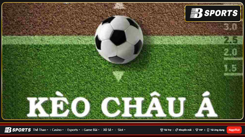 Người đặt cược cũng có thể đặt cho đội cửa dưới