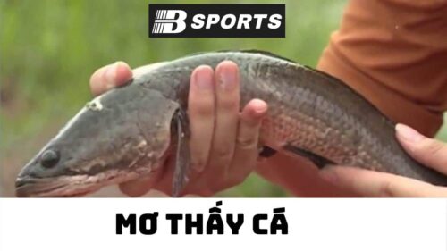 Nằm mơ thấy cá chép hóa rồng ý là sao