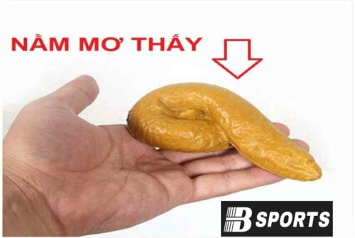 Chiêm bao mơ thấy cứt chó