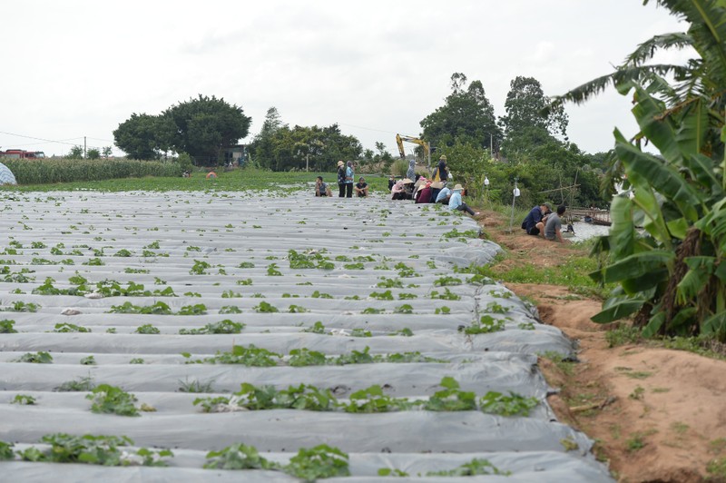 Hình ảnh mang tính minh họa