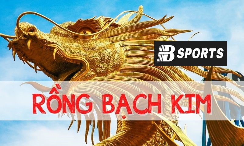 Cặp hay đi cùng Rồng Bạch Kim