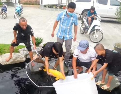 Dù chỉ mới làm Youtuber không lâu nhưng Tam Mao TV đã có thể sở hữu cho mình khối thu nhập và tài sản khiến cho nhiều người phải mơ ước và có phần ghen tỵ
