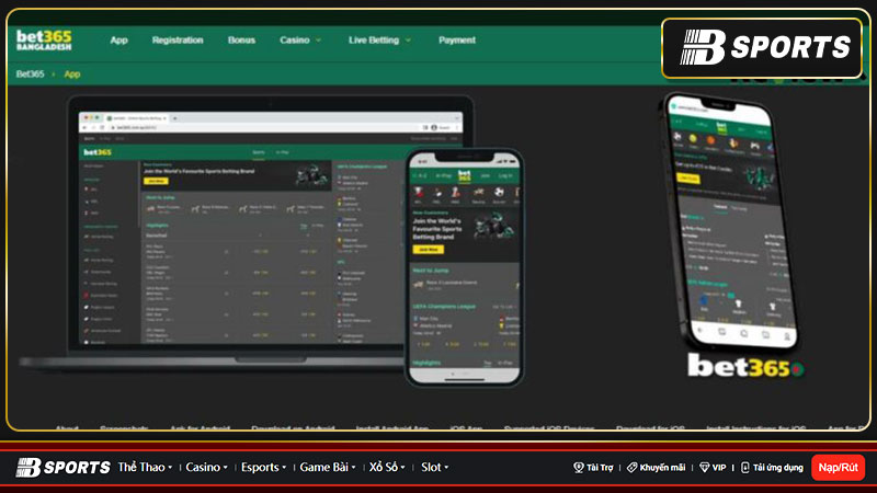 Đánh giá ưu và nhược điểm 365bet it