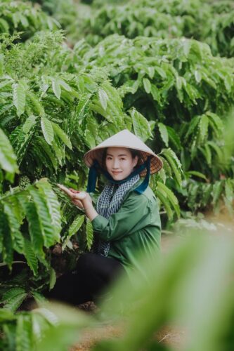 Thuận Thiên đã tạo ra công ăn việc làm cho bà con nơi đây