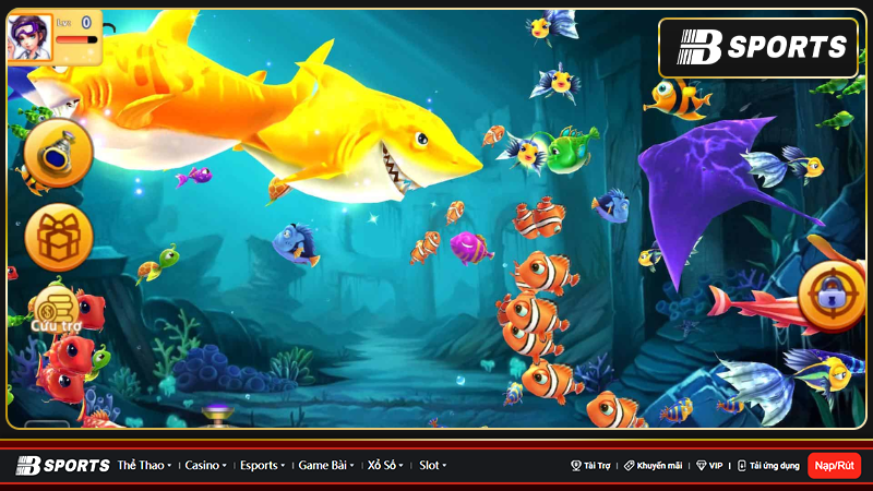 Lý do nên chơi game bắn cá ăn xu tại nhà cái Bsports