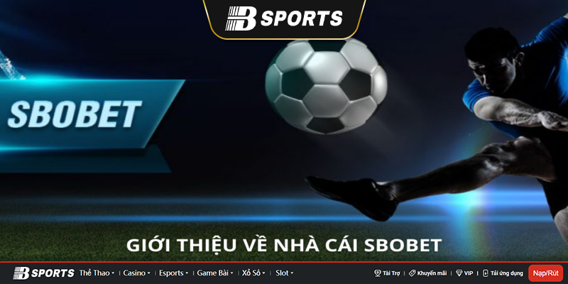 Giới thiệu về sbobet
