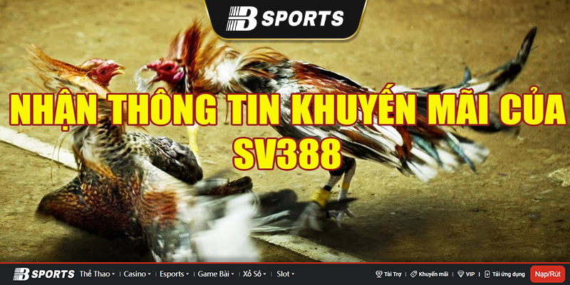 Khuyến mãi siêu hấp dẫn ở Svv388