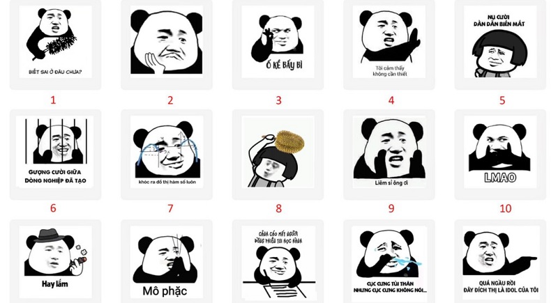 Những hình ảnh meme gấu trúc hot trên mạng