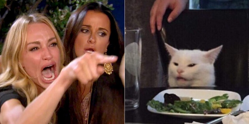 Hình ảnh mèo meme cực khó chịu khiến người xem thích thú