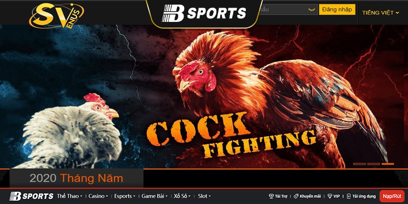 Những ưu điểm mà nhà cái Svv388 đang sở hữu