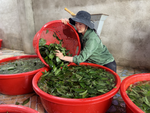 Sự lành tính đến ngạc nhiên của nông sản Việt