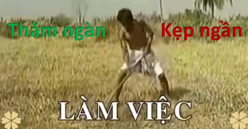 Thăm ngàn là gì được các bạn trẻ sử dụng rộng rãi hiện nay