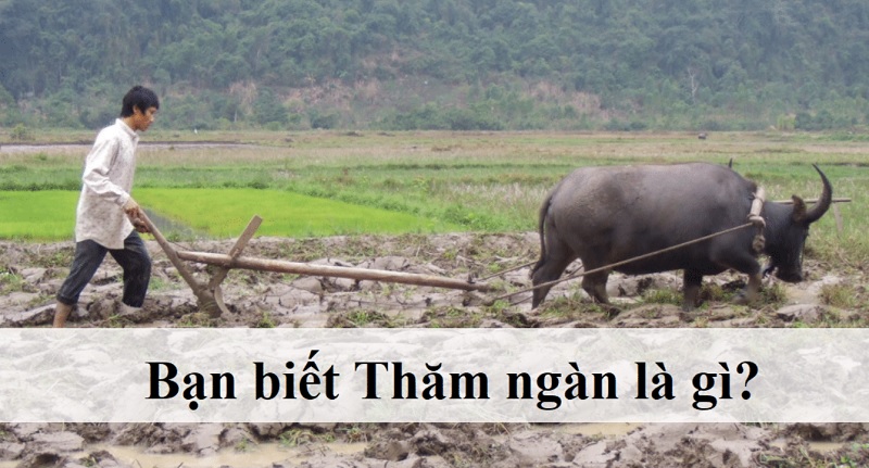 Những từ hot trend được bạn trẻ genZ sử dụng