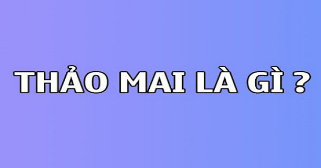 Thảo mai được hiểu như thế nào?