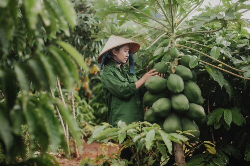 Tuổi thơ cơ cực đã giúp cô mạnh mẽ như hôm nay