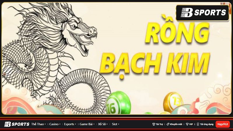 Soi cầu rồng bạch kim miền Nam là gì?