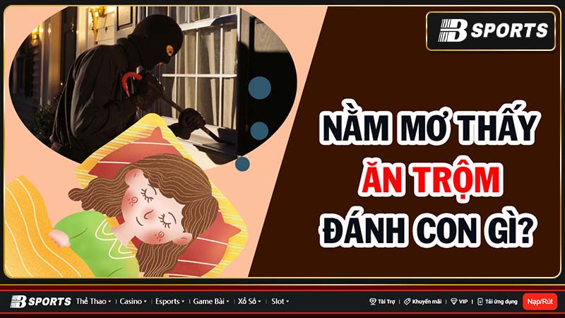 Mơ trộm vào nhà đánh con gì?