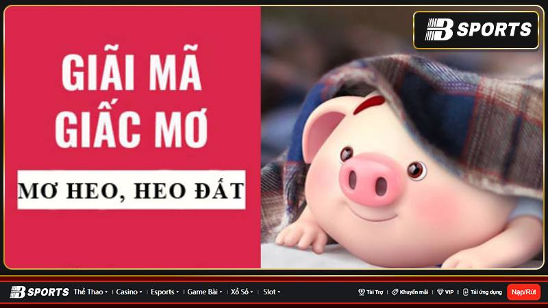 Giải mã nằm mơ thấy chuồng heo