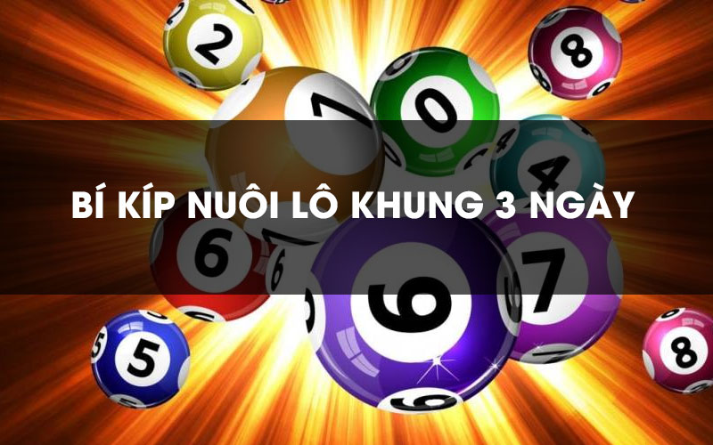Khái niệm lô khung, nuôi lô khung là gì, cách nuôi lô khung, kinh nghiệm đánh lô khung